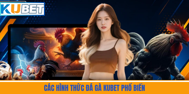 Các Hình Thức Đá Gà Kubet Phổ Biến