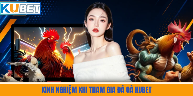 Kinh Nghiệm Khi Tham Gia Đá Gà Kubet